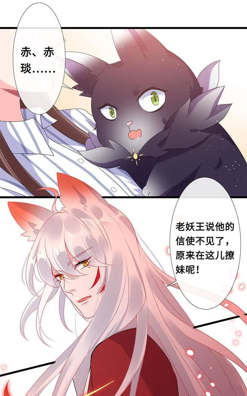 猫猫太难了 第40页