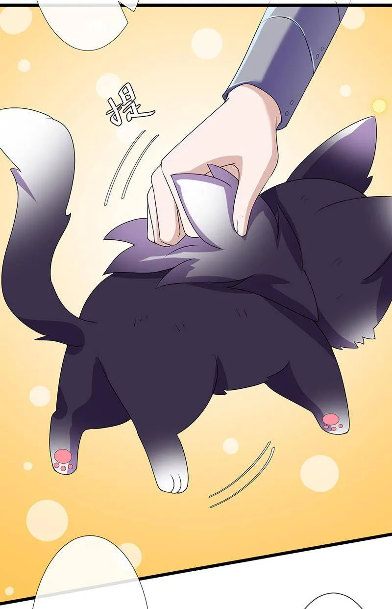 猫猫太难了 第42页