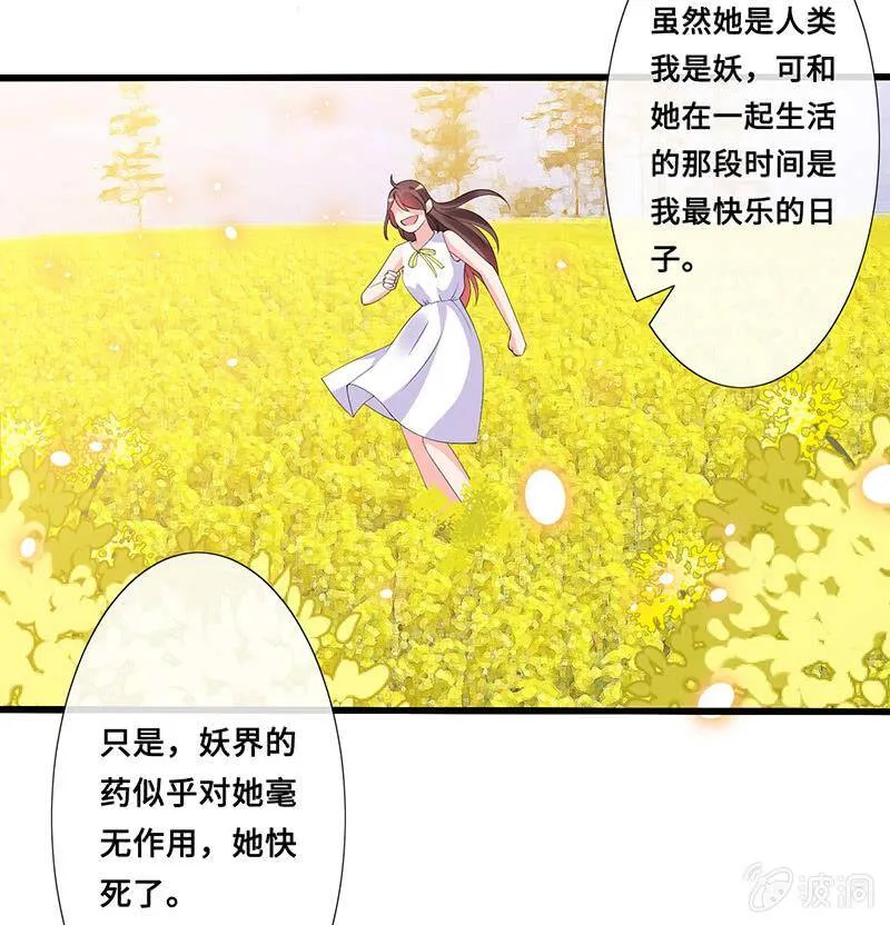 猫妖的报恩 第5页