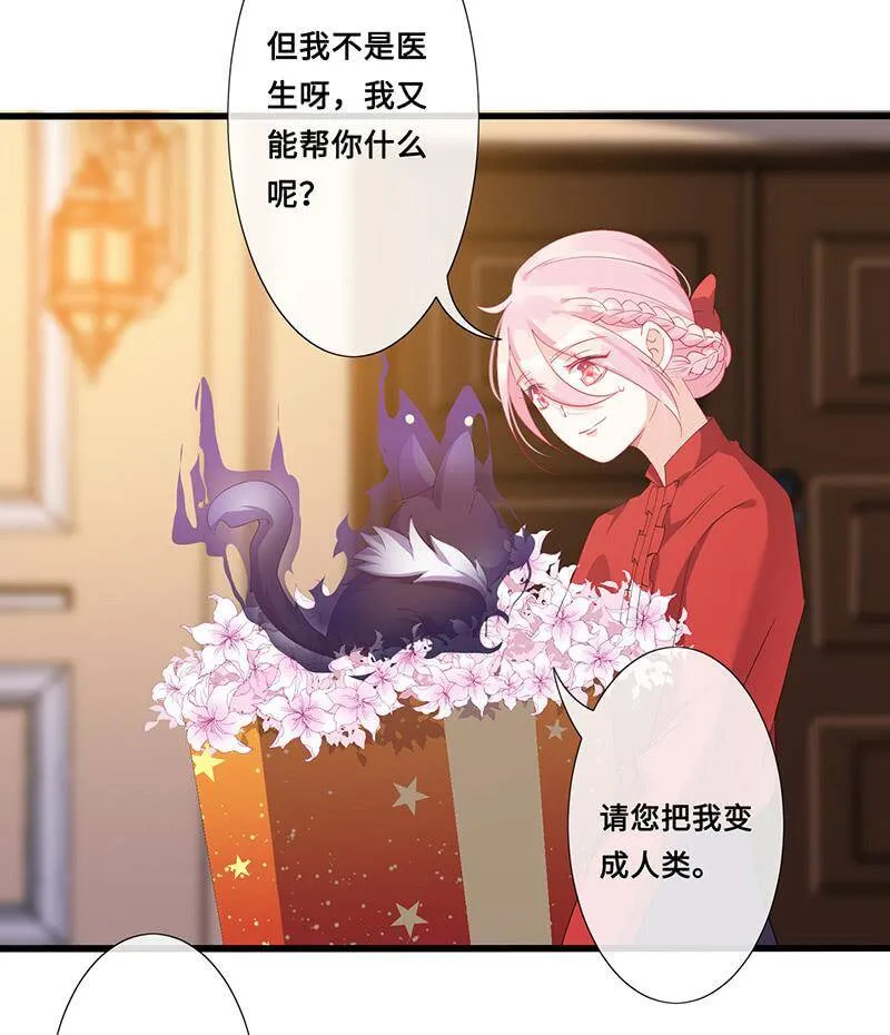 猫妖的报恩 第7页