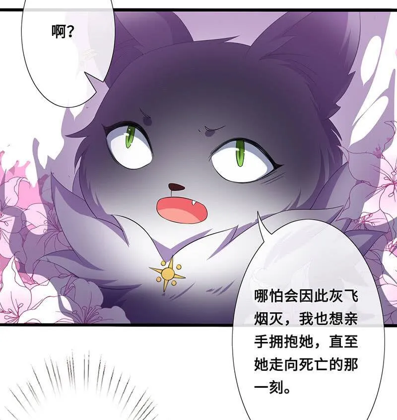 猫妖的报恩 第8页