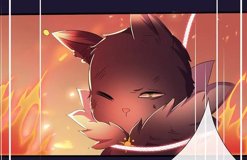猫妖的报恩 第12页