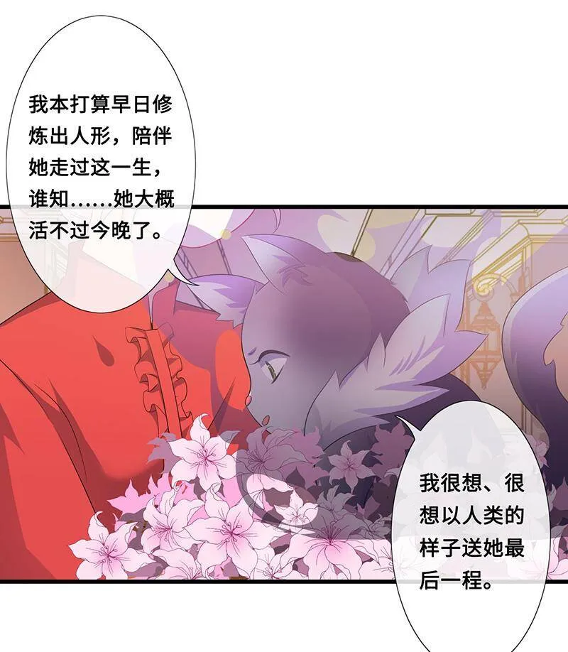 猫妖的报恩 第16页