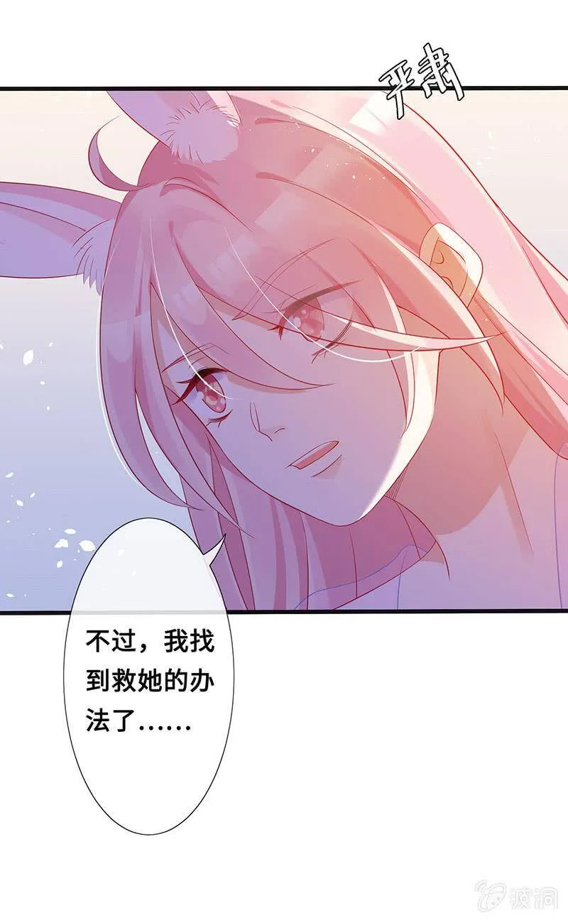 猫妖的报恩 第45页