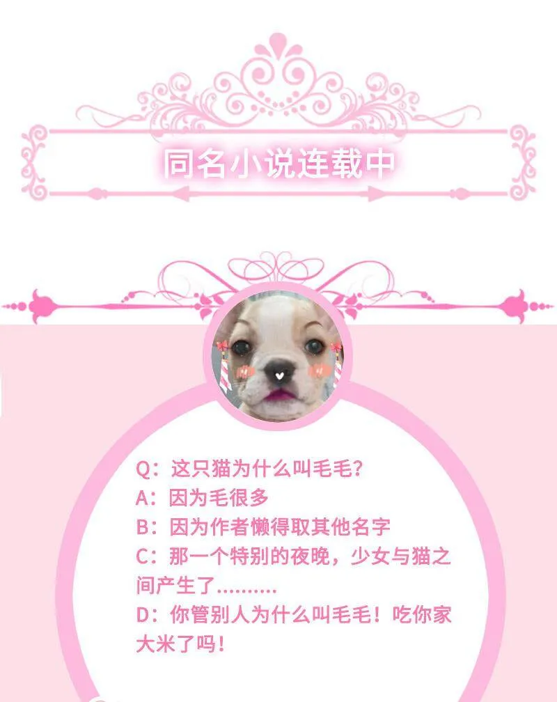 猫妖的报恩 第46页