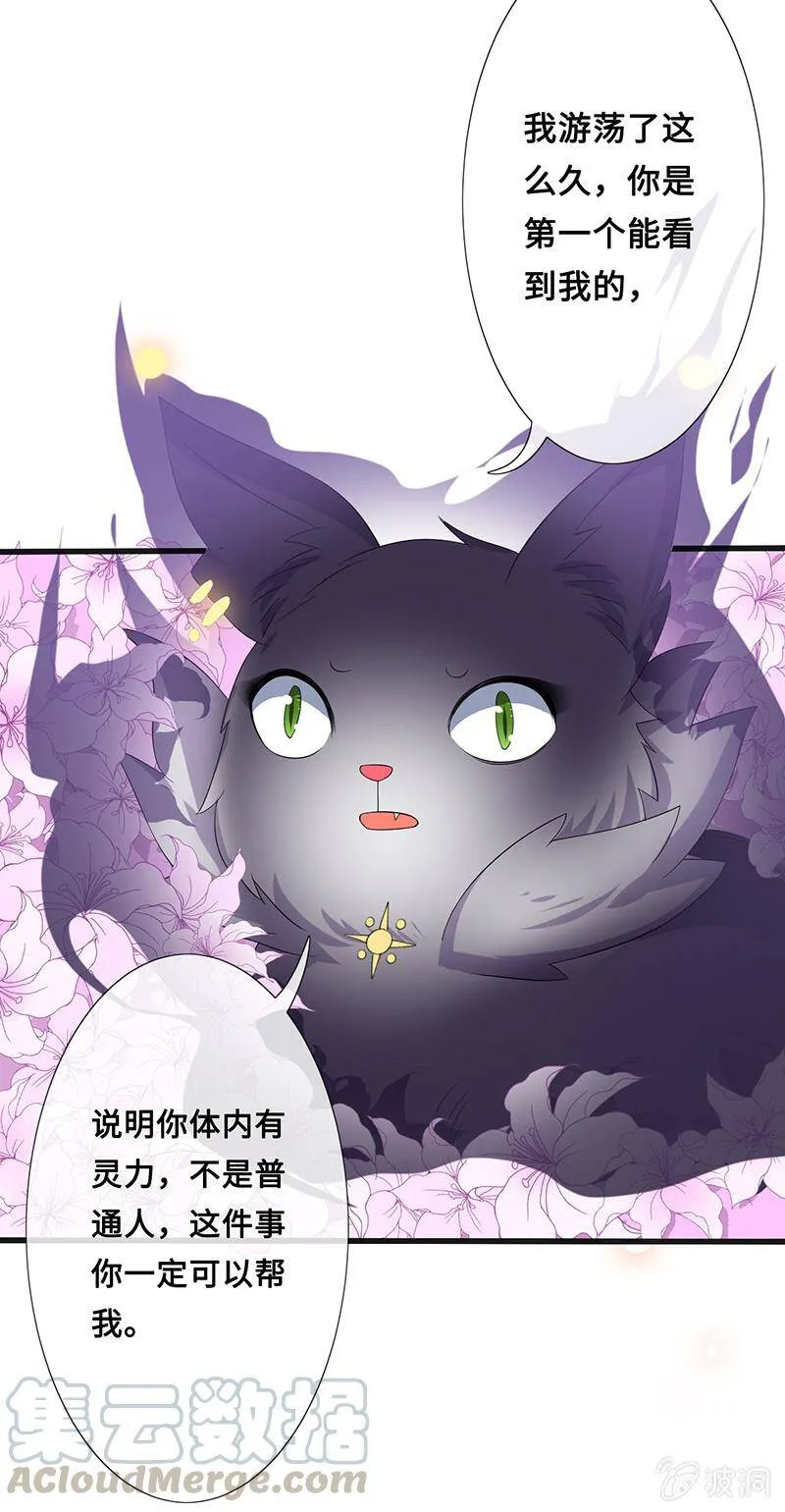 我被霸总抛弃了 第61页