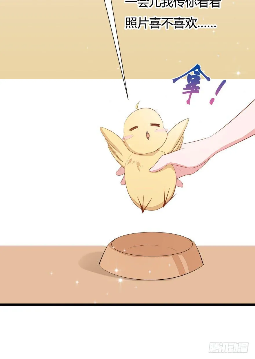 1.真·仙女下凡 第21页