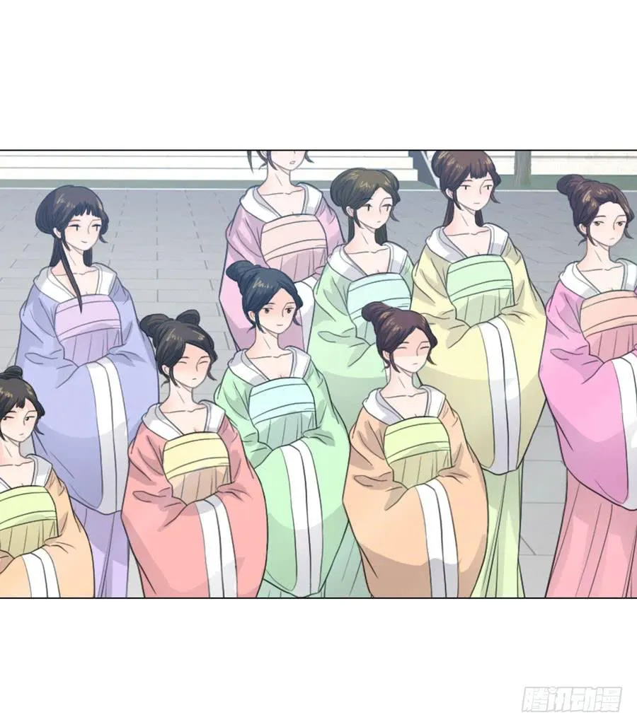 选秀 第41页