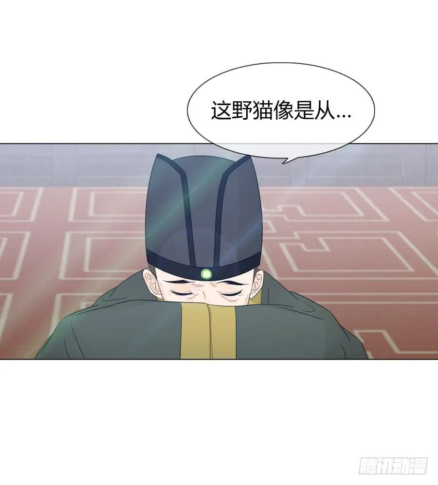 花园晚宴 第41页