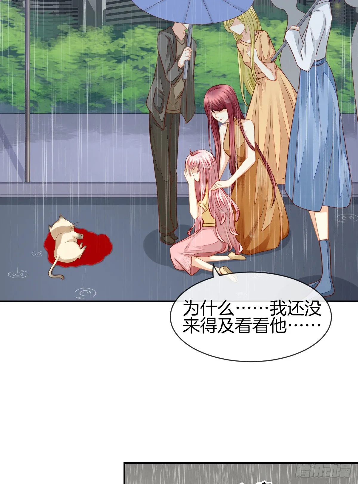 空空如也的猫咪公墓 第16页