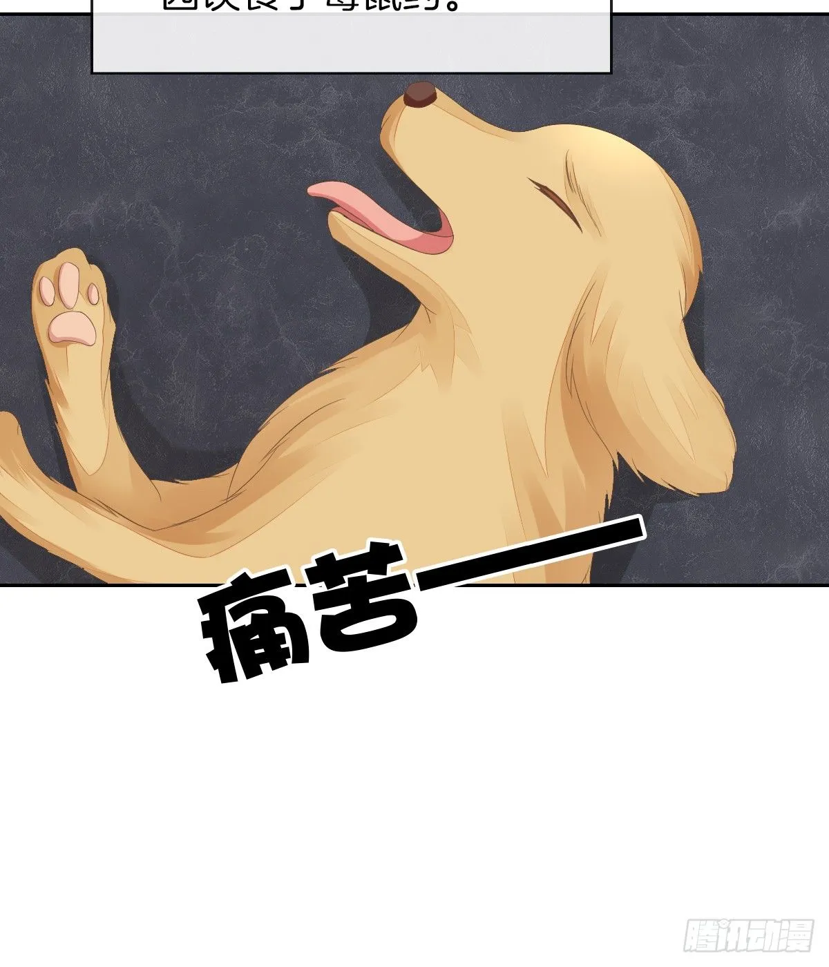 灵魂互换的真相 第38页