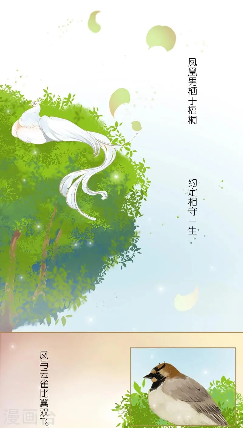 番外1 第1页
