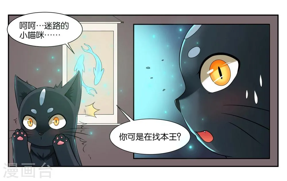 第16话 迷路的小猫咪 第21页