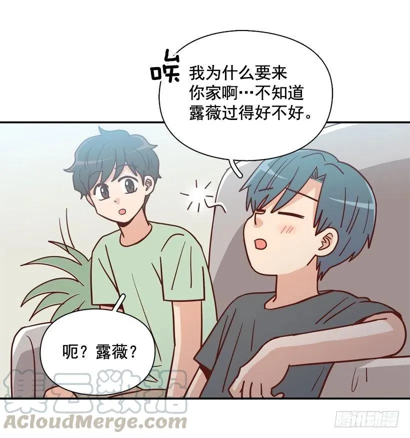 确认完毕 第13页