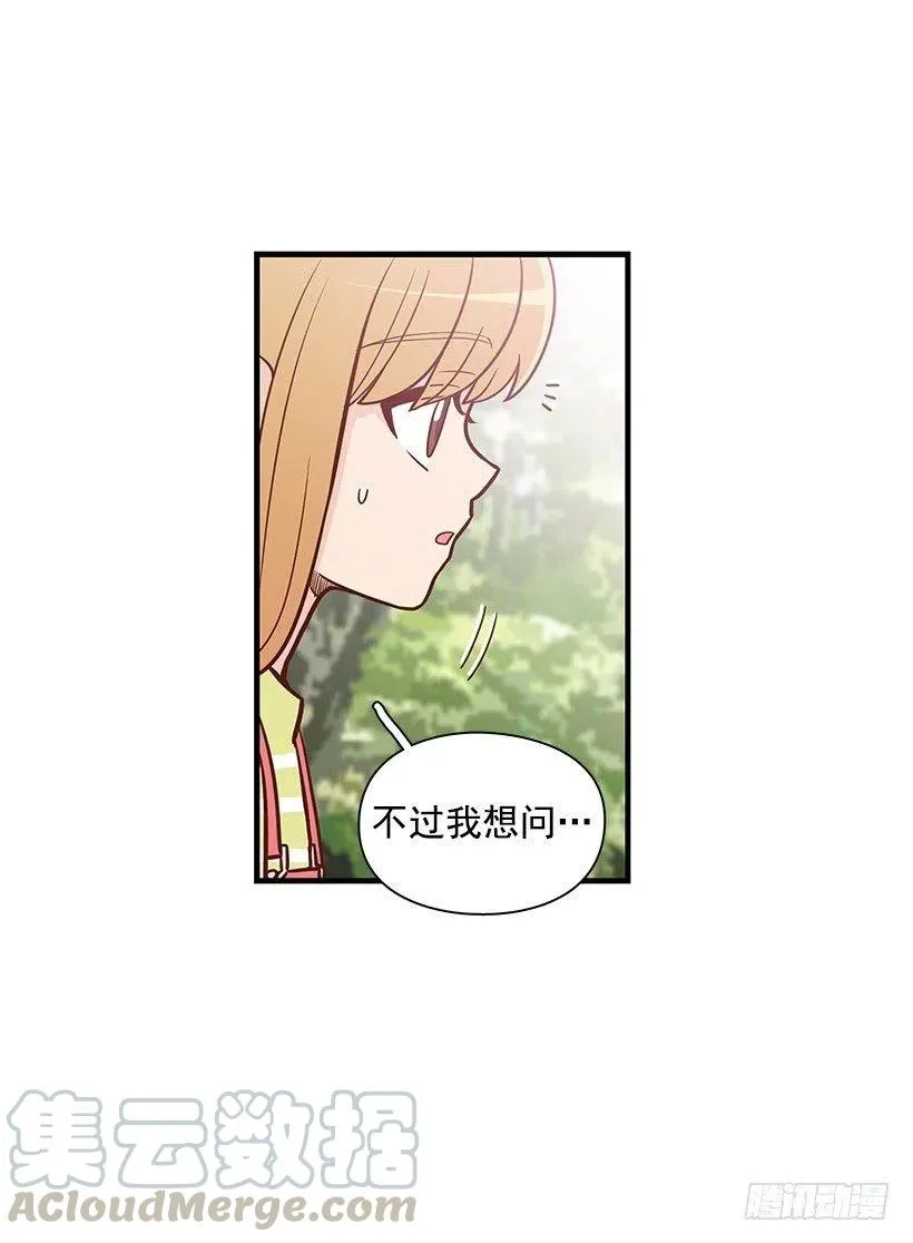 分组 第21页