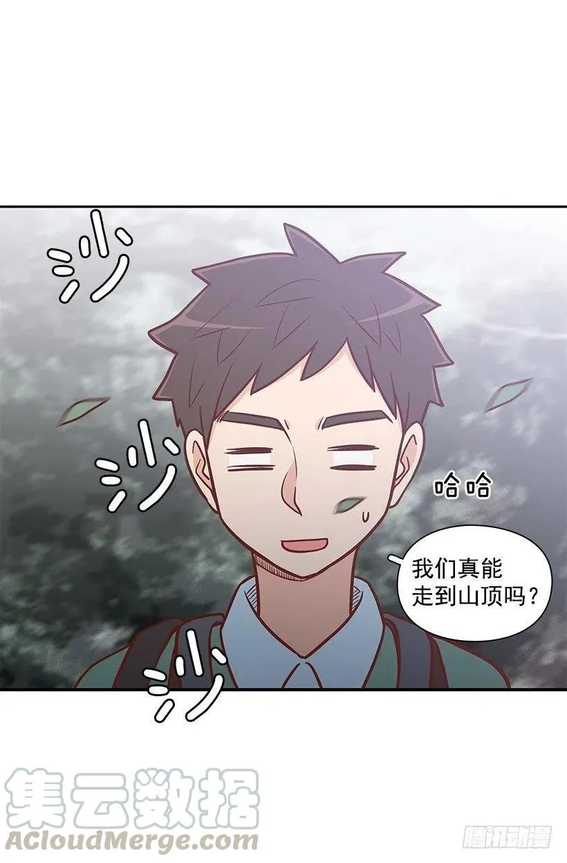 分组 第23页