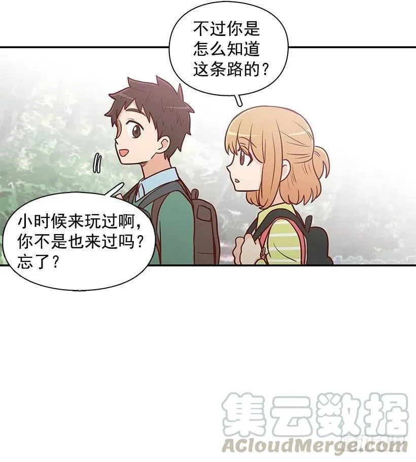 分组 第39页