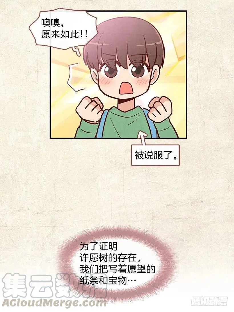 愿望树 第15页