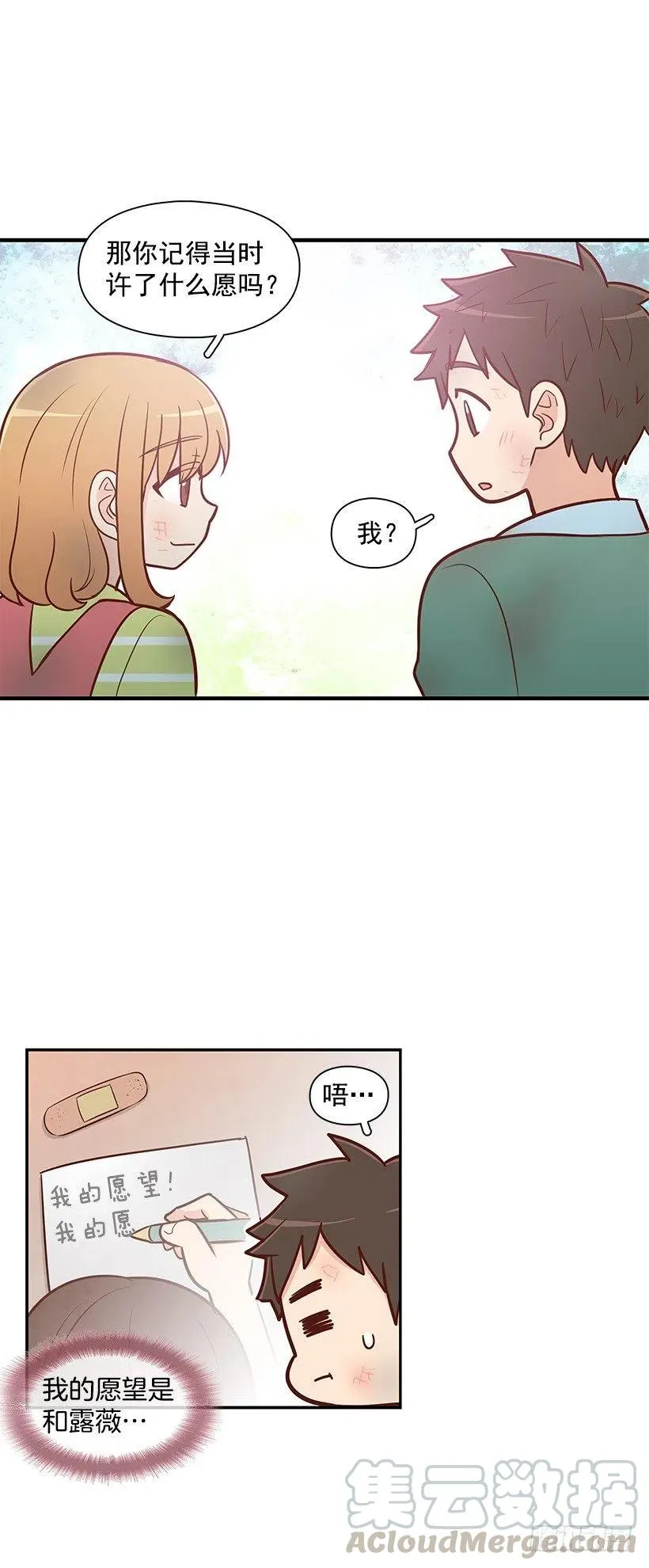 愿望树 第17页