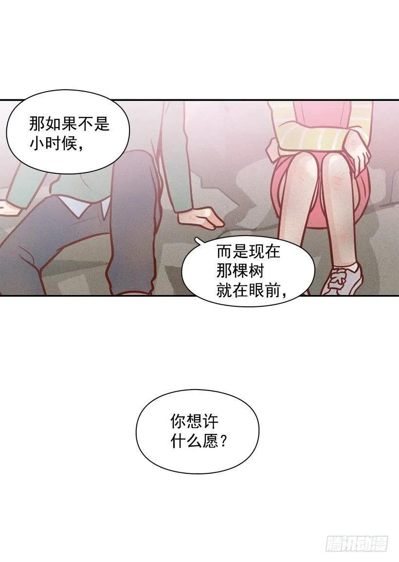 愿望树 第20页