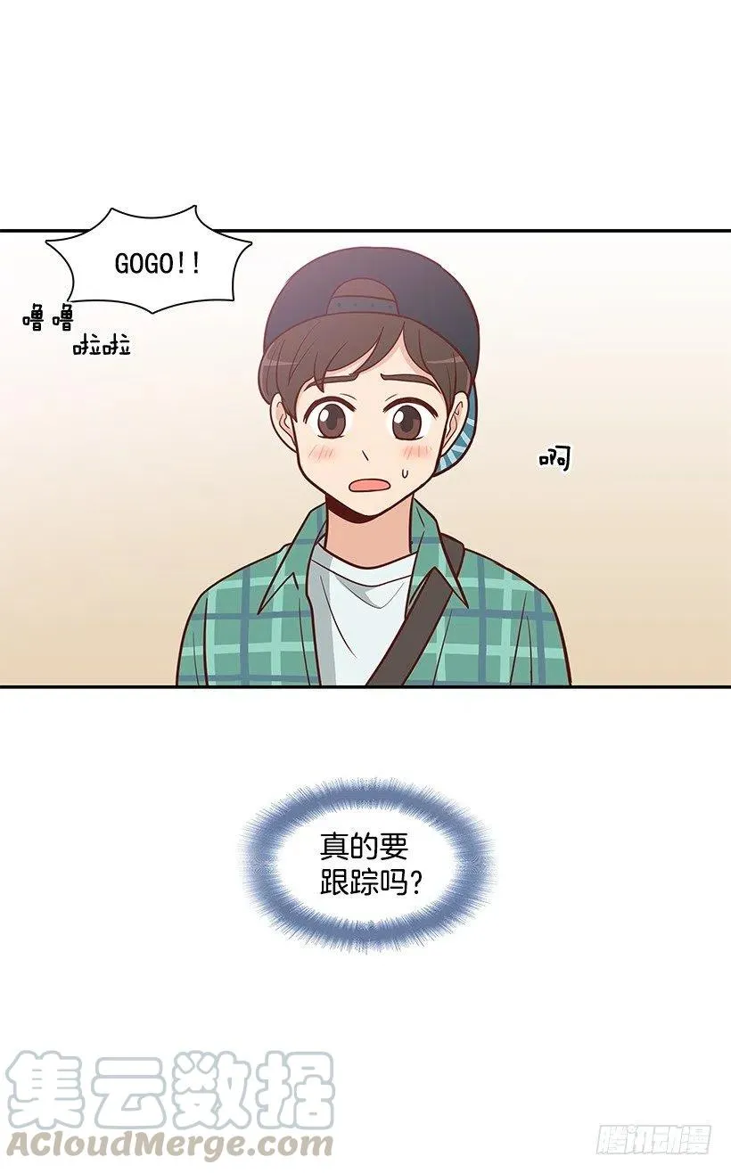 跟踪 第43页
