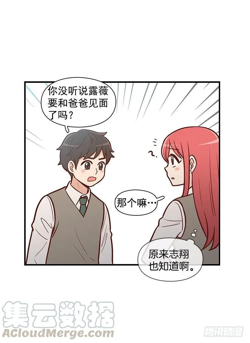 约定 第29页