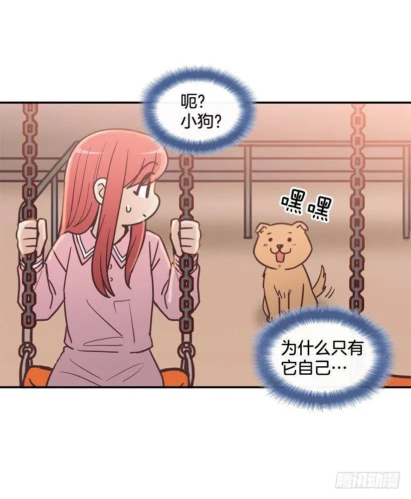 动物过敏 第6页