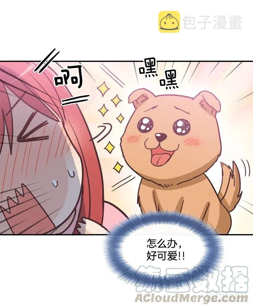 动物过敏 第7页