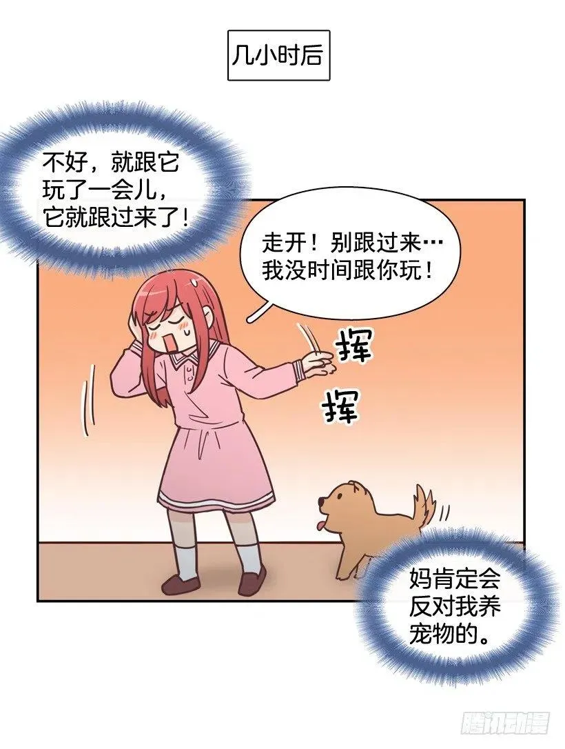 动物过敏 第8页