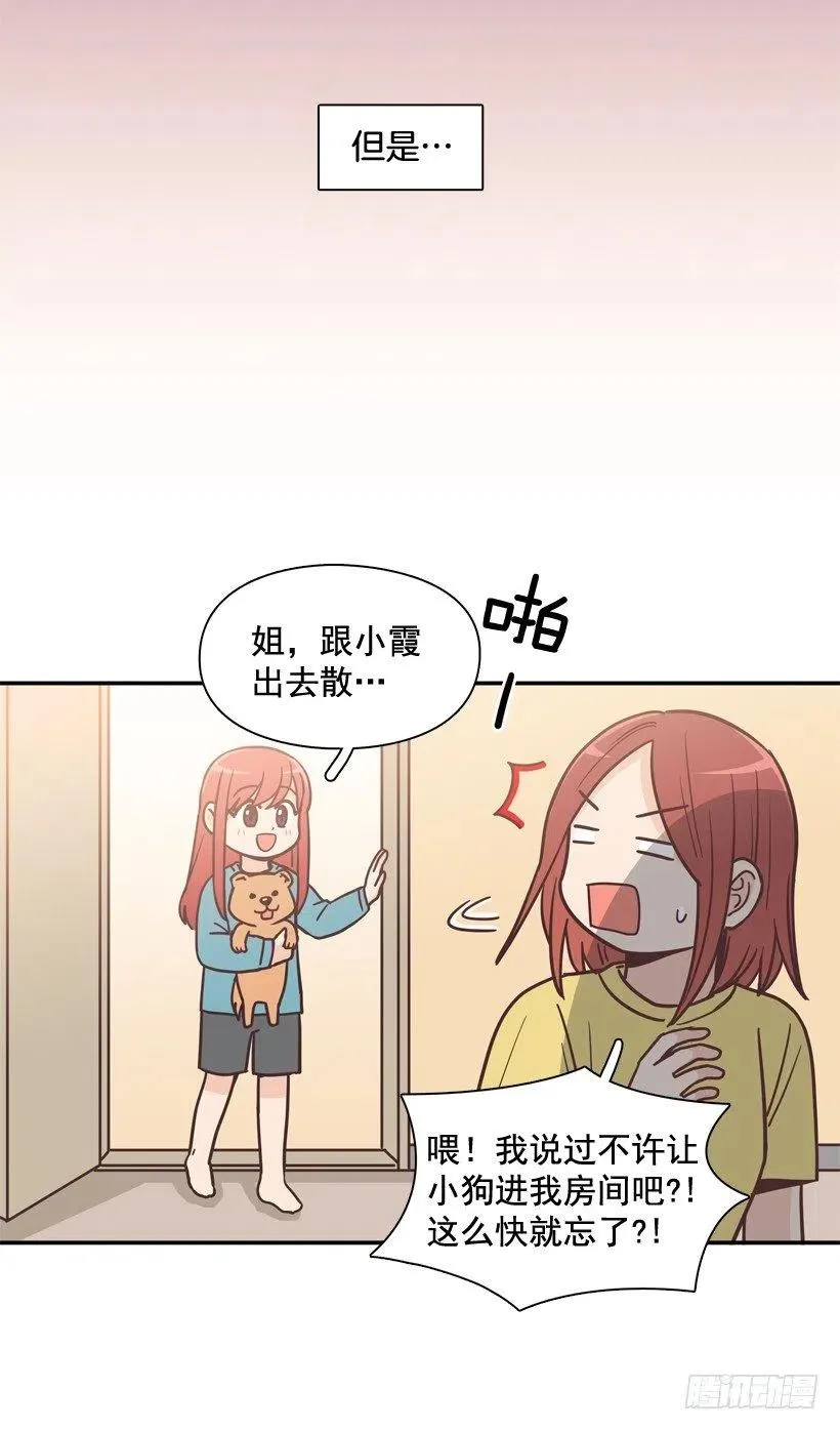 动物过敏 第11页
