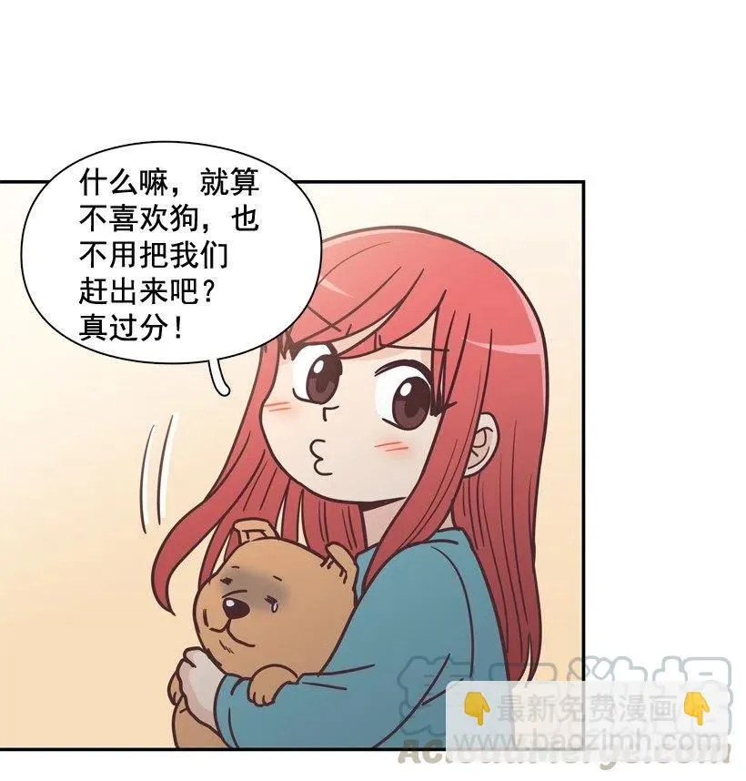 动物过敏 第13页