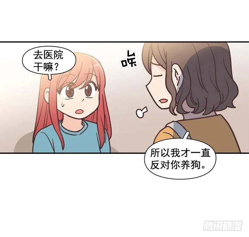 动物过敏 第17页
