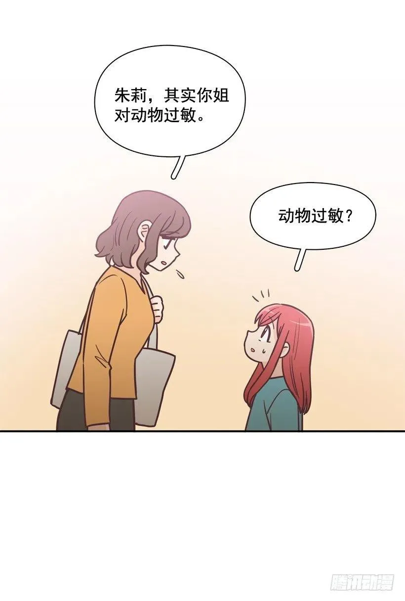 动物过敏 第18页