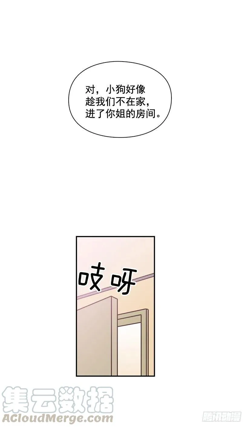 动物过敏 第19页