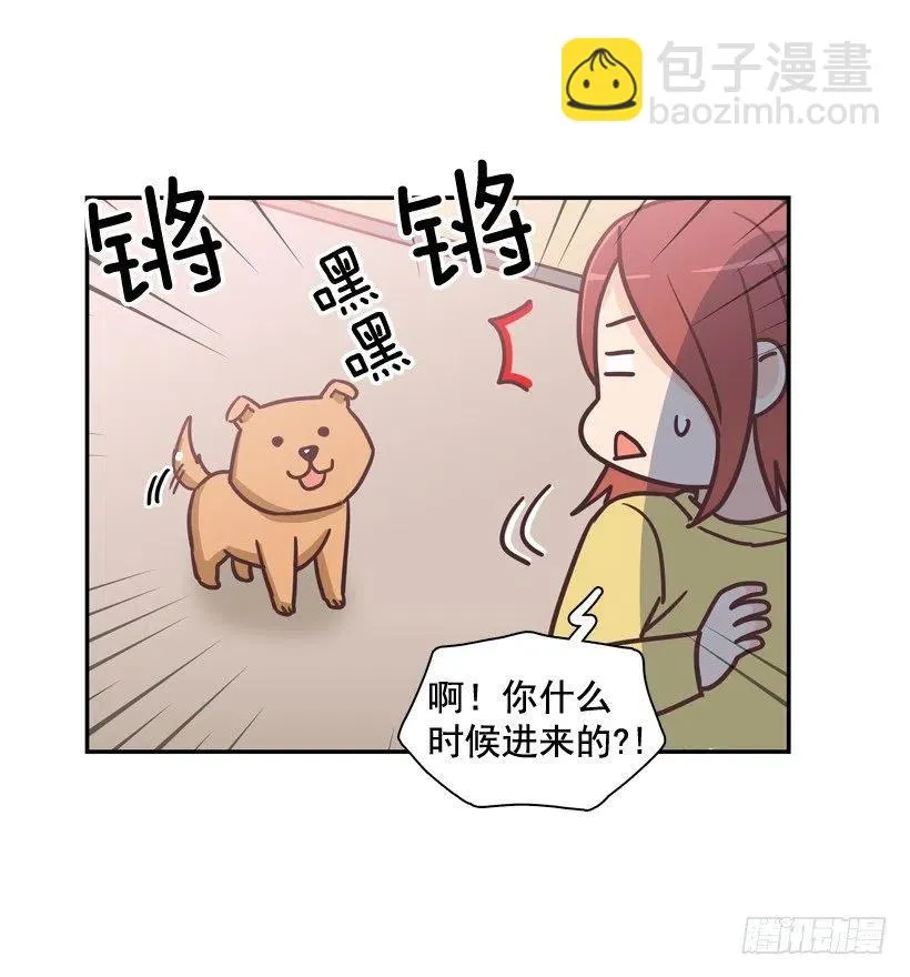 动物过敏 第20页