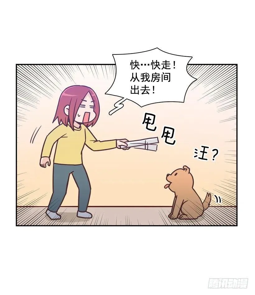 动物过敏 第21页
