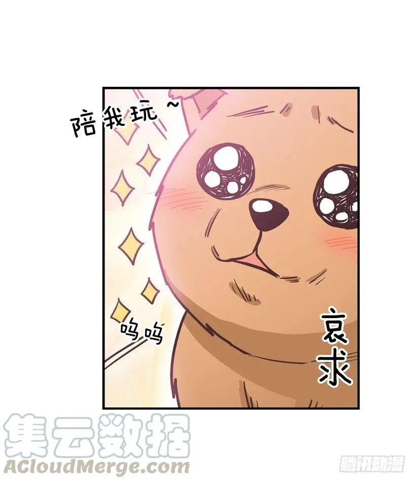 动物过敏 第22页