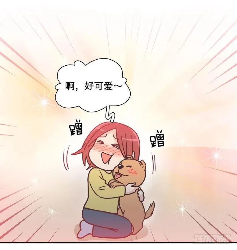 动物过敏 第24页