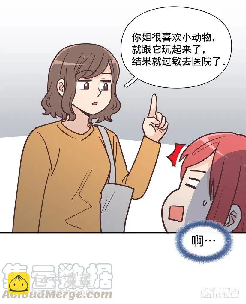 动物过敏 第25页