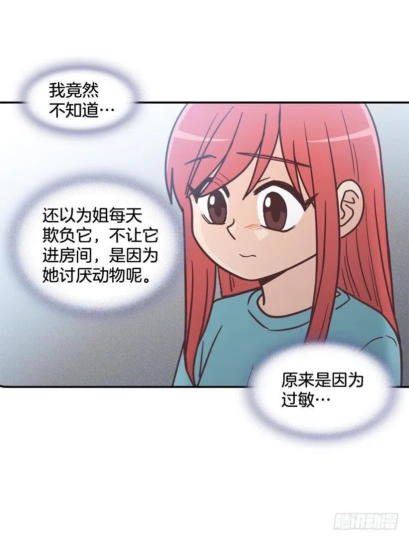 动物过敏 第26页