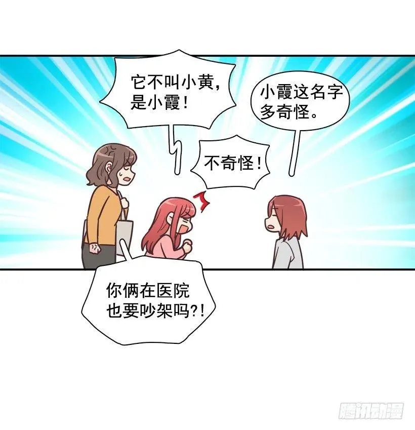 动物过敏 第29页