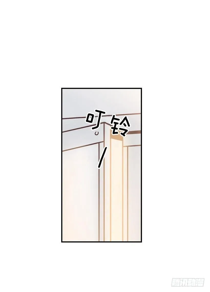 动物过敏 第33页