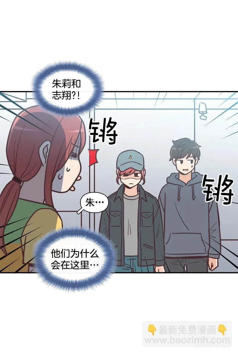 动物过敏 第36页