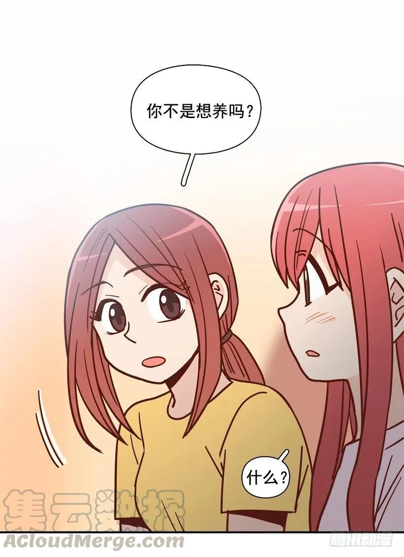 奇怪鸡汤 第40页