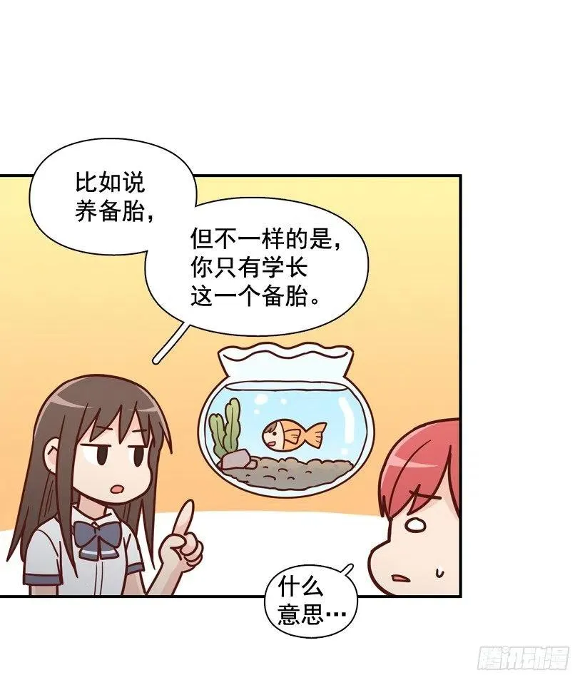 他不是备胎 第23页