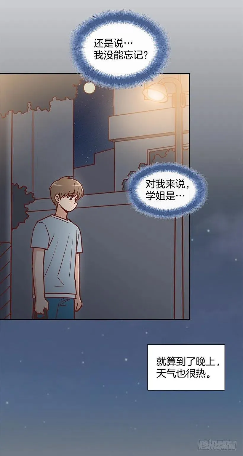 那年夏天 第15页