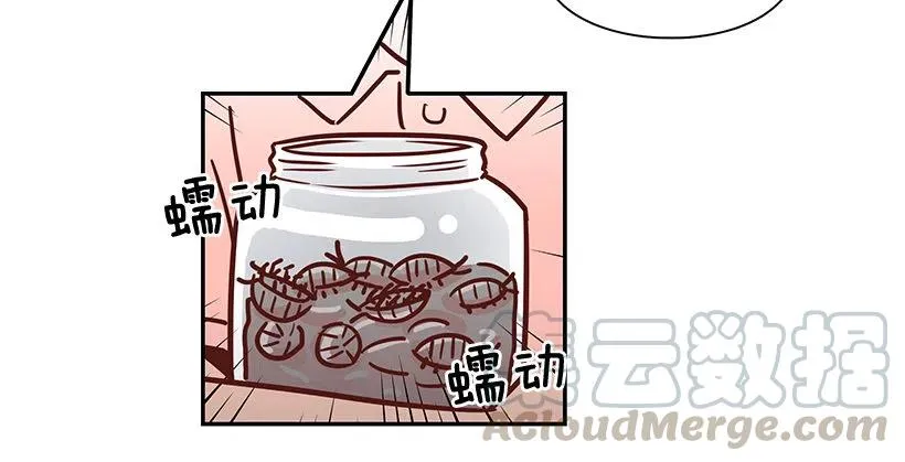 那年夏天 第43页