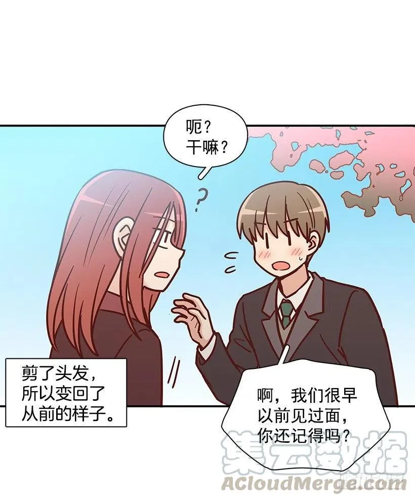 崭新的夏天 第4页
