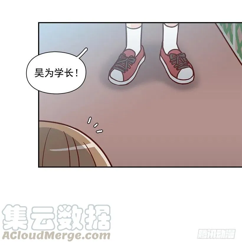 崭新的夏天 第31页