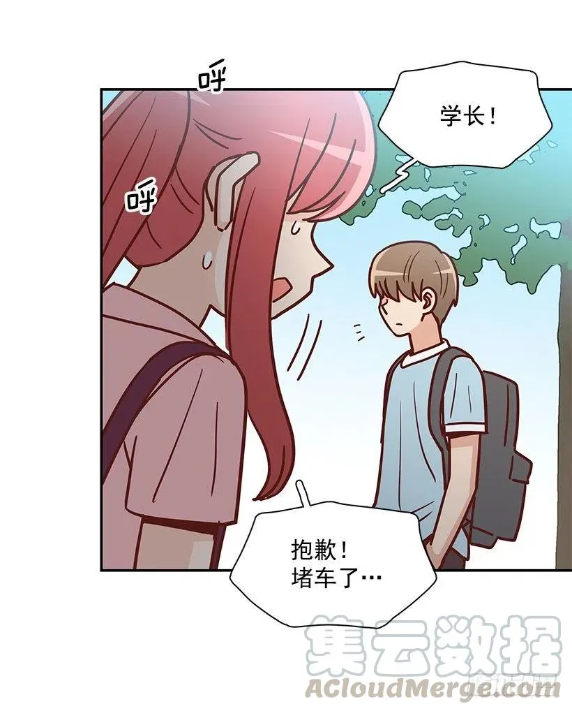 崭新的夏天 第55页